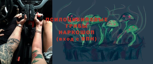 мдпв Дмитров