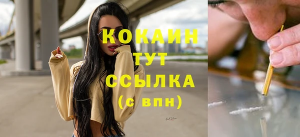 Альфа ПВП Дмитриев