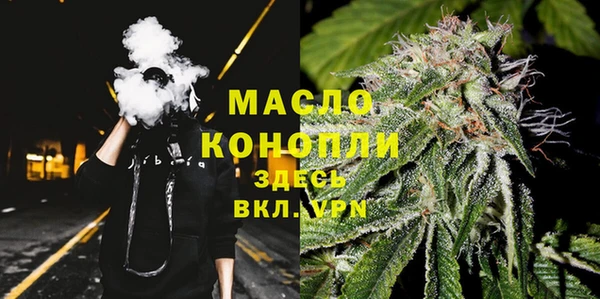 мдпв Дмитров