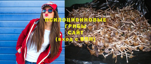 Альфа ПВП Дмитриев
