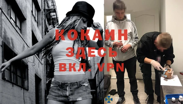 Альфа ПВП Дмитриев