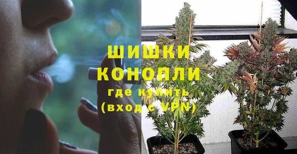 ГАЛЛЮЦИНОГЕННЫЕ ГРИБЫ Дмитровск