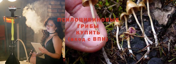 мдпв Дмитров