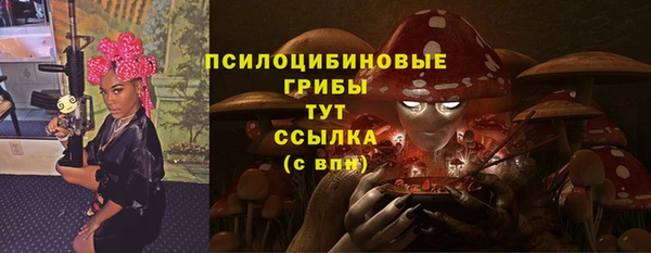 ГАЛЛЮЦИНОГЕННЫЕ ГРИБЫ Дмитровск