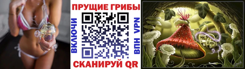 дарнет шоп  Осинники  MEGA tor  Псилоцибиновые грибы ЛСД 